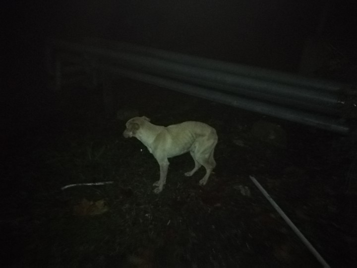 Хозяин отзовись!!!! 