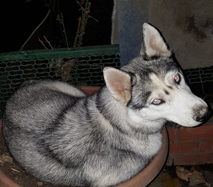 Помогите найти!!!!