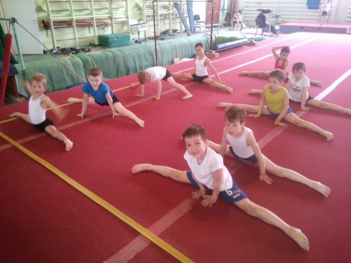 Тренер по спортивной гимнастике. Индивидуально