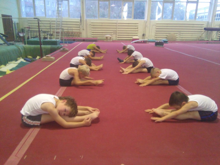 Тренер по спортивной гимнастике. Индивидуально