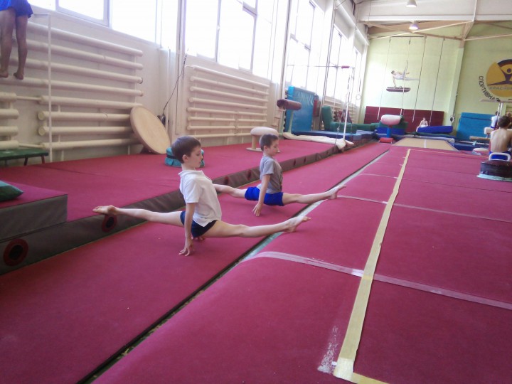 Тренер по спортивной гимнастике. Индивидуально