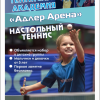 настольный теннис