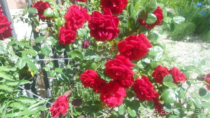 Утерян бумажник