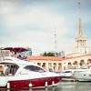 Аренда яхт и катеров в Сочи