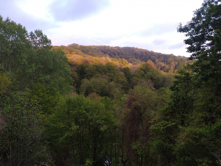 Сниму 1-, 2-х к. квартиру, дом, жилой гараж до 20 000 р/мес.