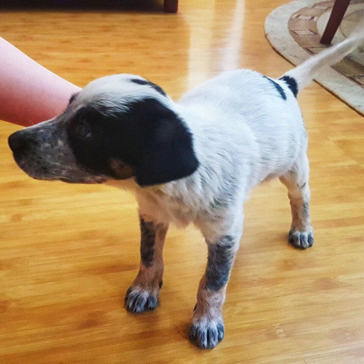 Лагерта ищет семью! 