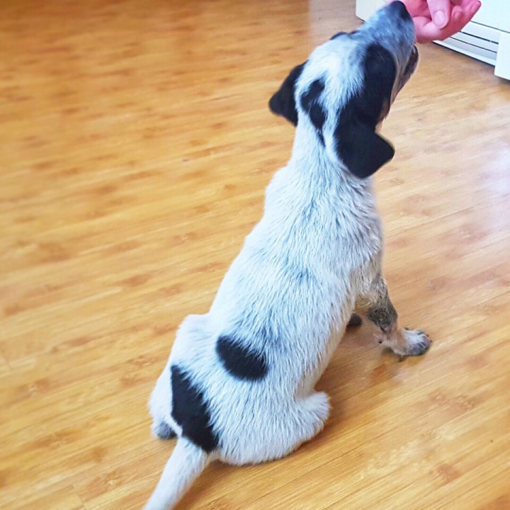 Лагерта ищет семью! 