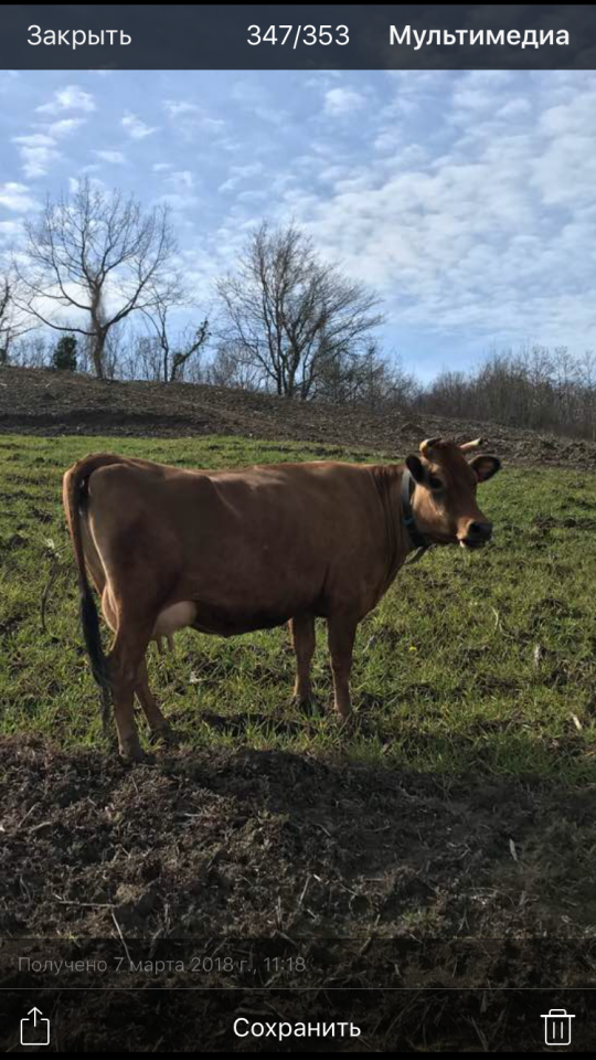 Помощники по хозяйству (семья или женщина)