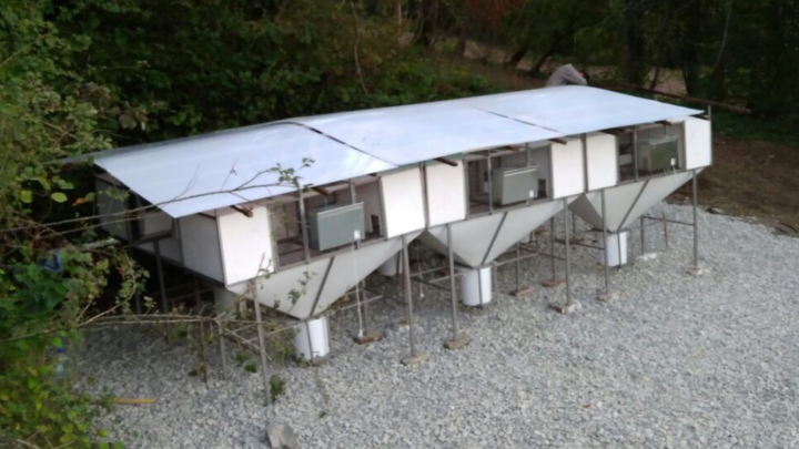 Помощники по хозяйству (семья или женщина)