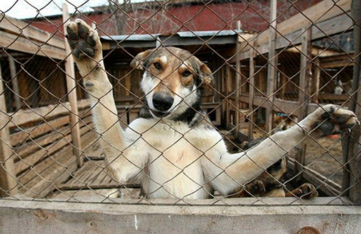 Право на жизнь