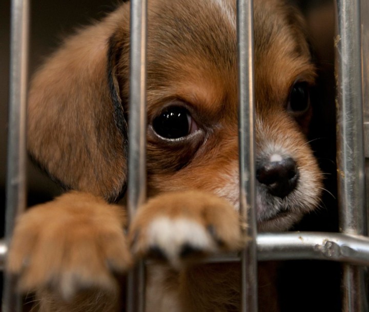 Право на жизнь