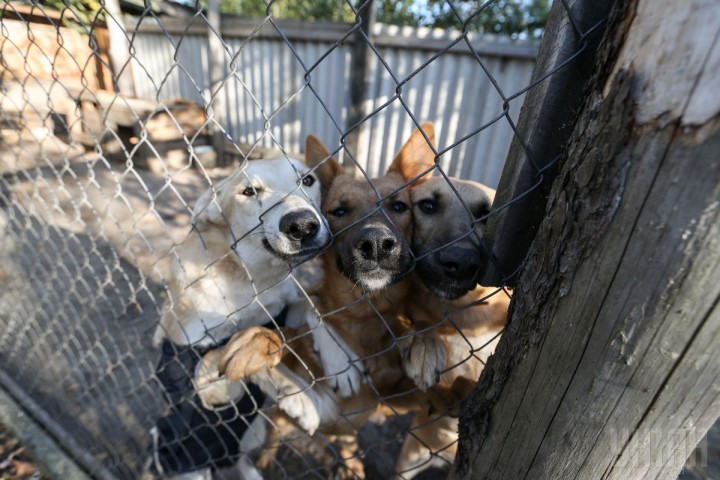 Право на жизнь