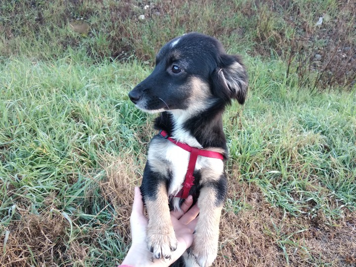 Жуля ищет семью