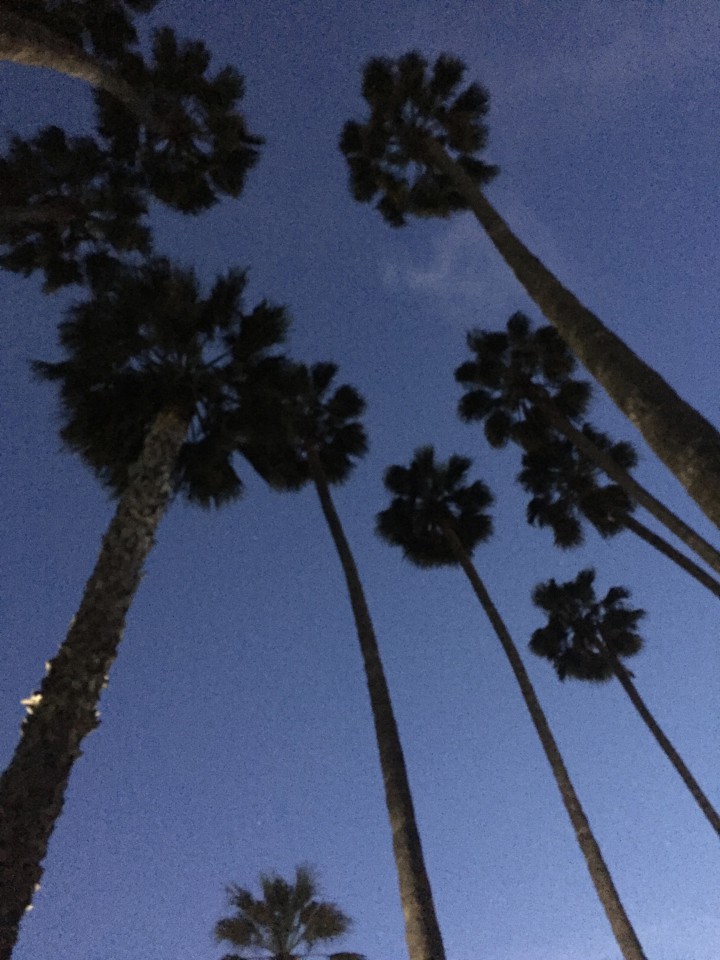 Потерян кошелёк с ПРАВАМИ