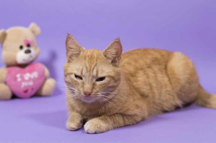 Ищу любящих родителей