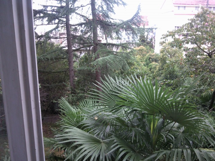 Однокомнатная Квартира В Центре Сочи.