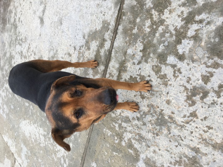 Джек ищет дом