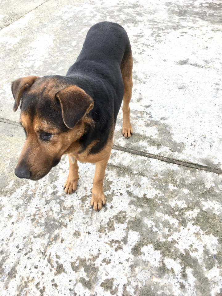 Джек ищет дом