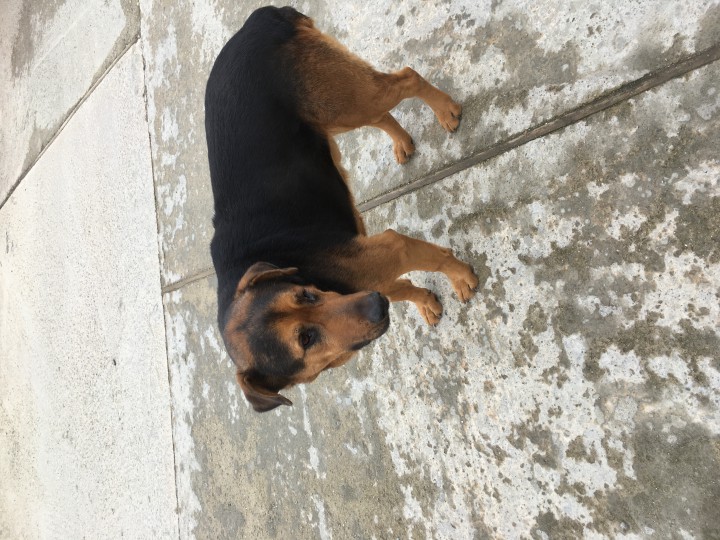 Джек ищет дом