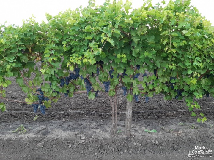 Продам свой дом в пригороде г. Лабинск