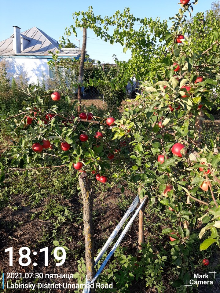 Продам свой дом в пригороде г. Лабинск