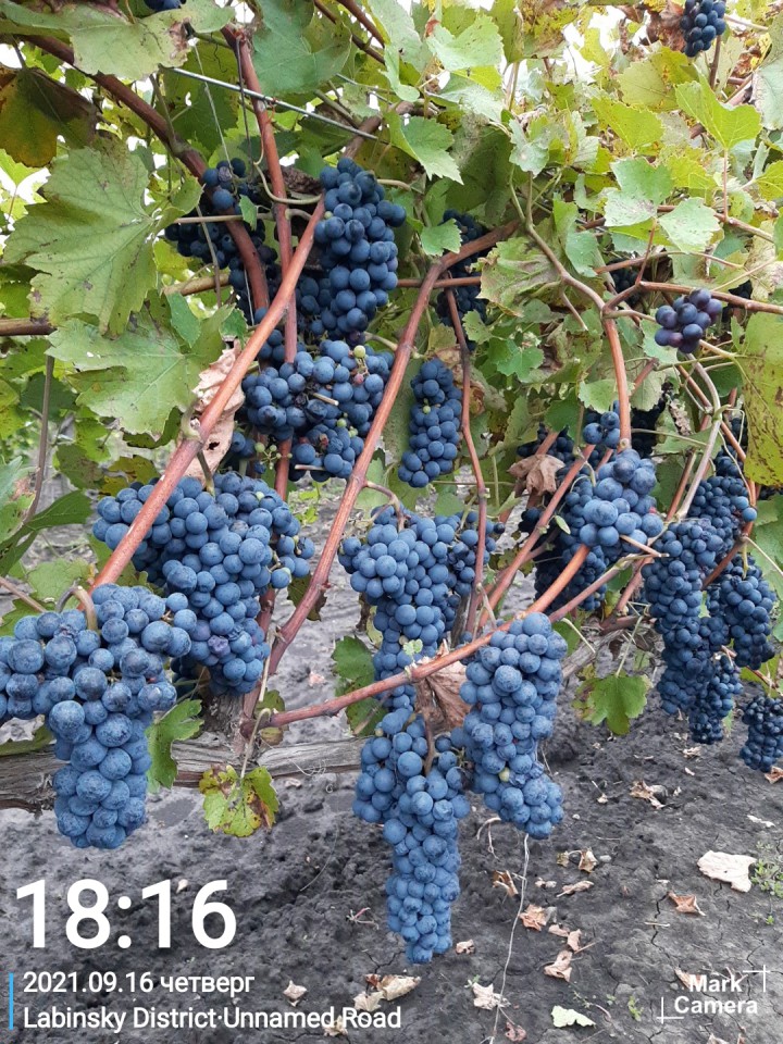 Продам свой дом в пригороде г. Лабинск