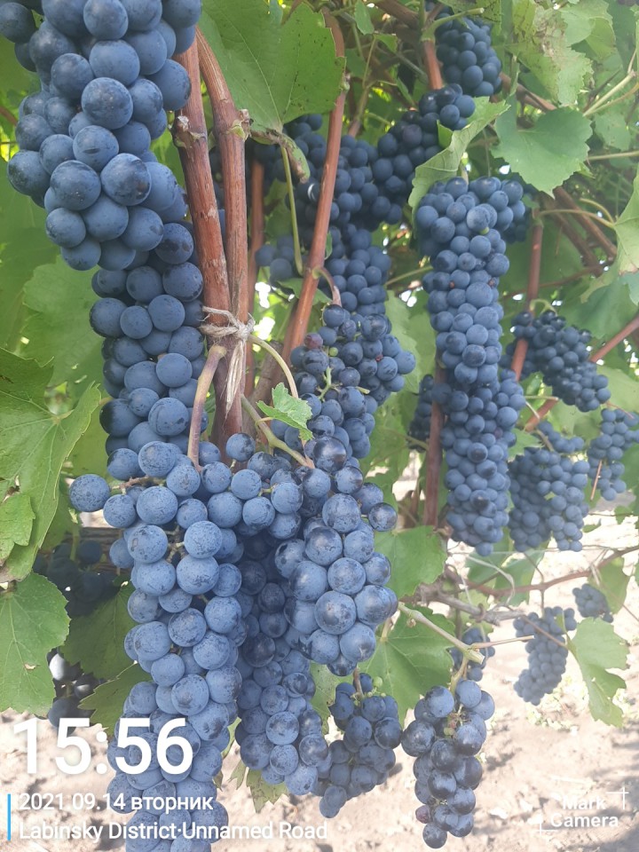 Продам свой дом в пригороде г. Лабинск