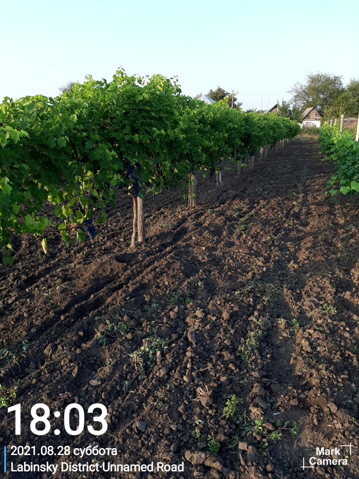 Продам свой дом в пригороде г. Лабинск