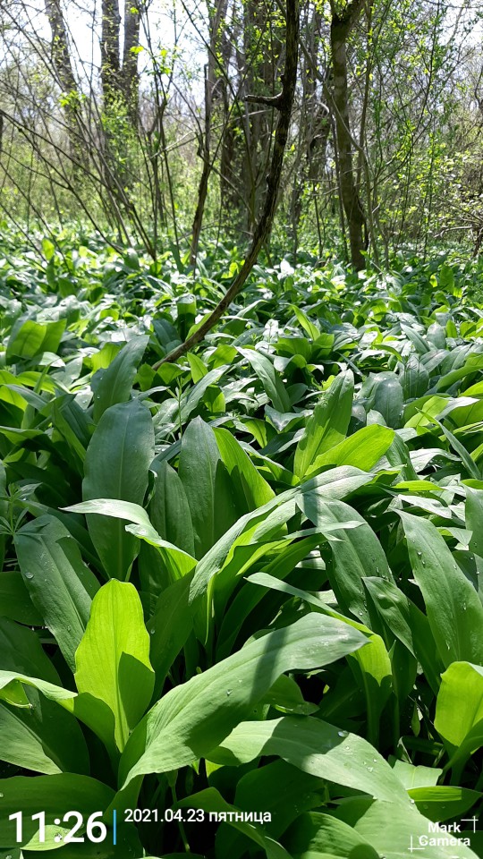 Продам свой дом в пригороде г. Лабинск
