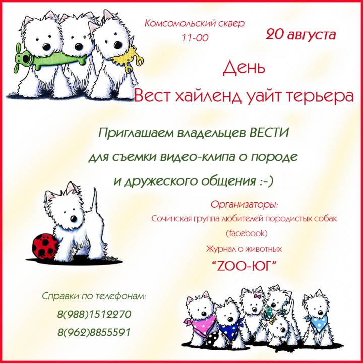 Приглашаем владельцев вести!