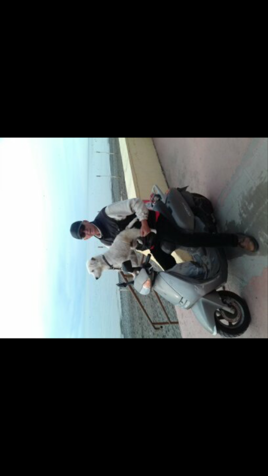 Помогите найти друга Рикки !!!!!