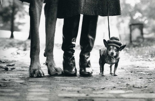 Ищу 1-2к  квартиру в аренду на июнь желательно ближе к бытхе