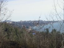 Продаю дачу на 73км.