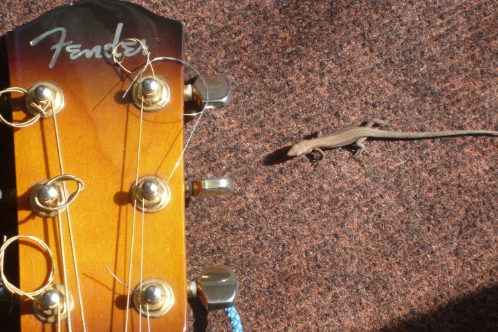 сдвигаю точку сборки при помощи колков на грифе