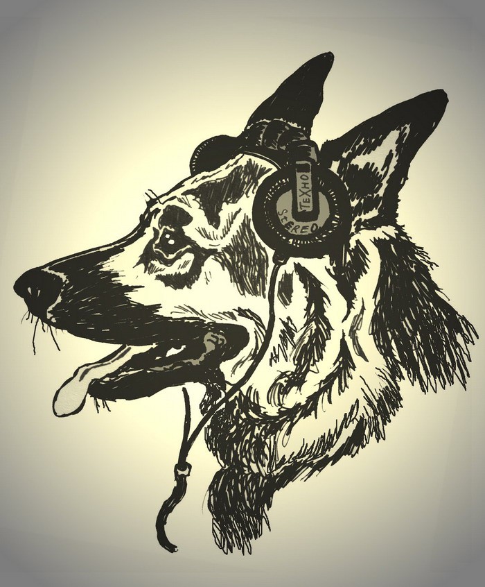 Найдена немецкая овчарка!