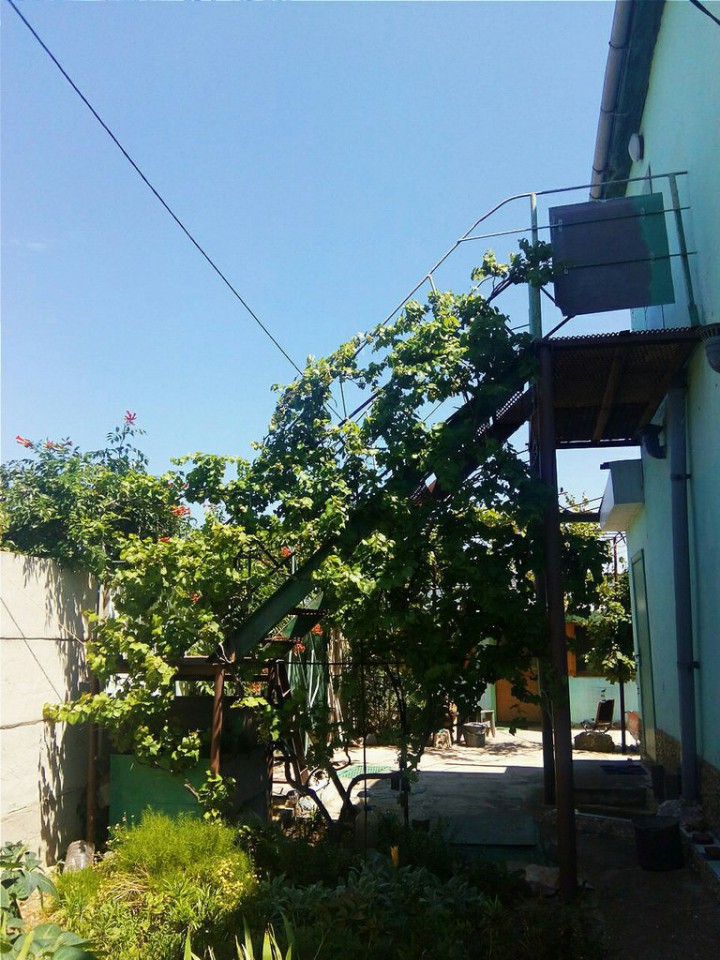 Дом в Крыму. Срочная продажа