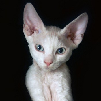 Требуются работники