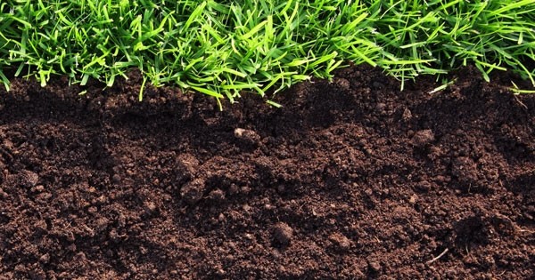 Приму отвал грунта Хоста