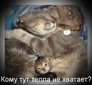 Теплые полы под любое покрытие в Сочи.