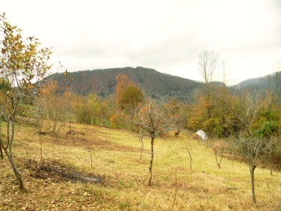 Участок в Сочи 10 соток под ИЖС