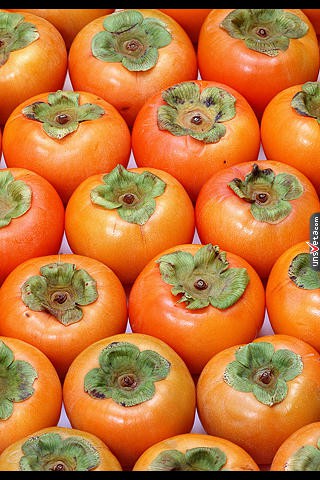 Сочинское ЛПХ