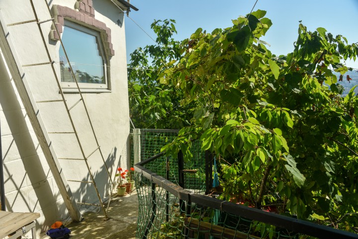 Продается 1/4 доля дома в Сочи на Виноградной