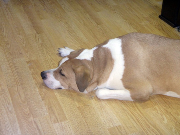 Пропалин, могу помочь с приобретением