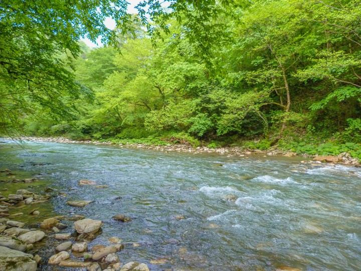 Фотосъёмка любого Вашего торжества