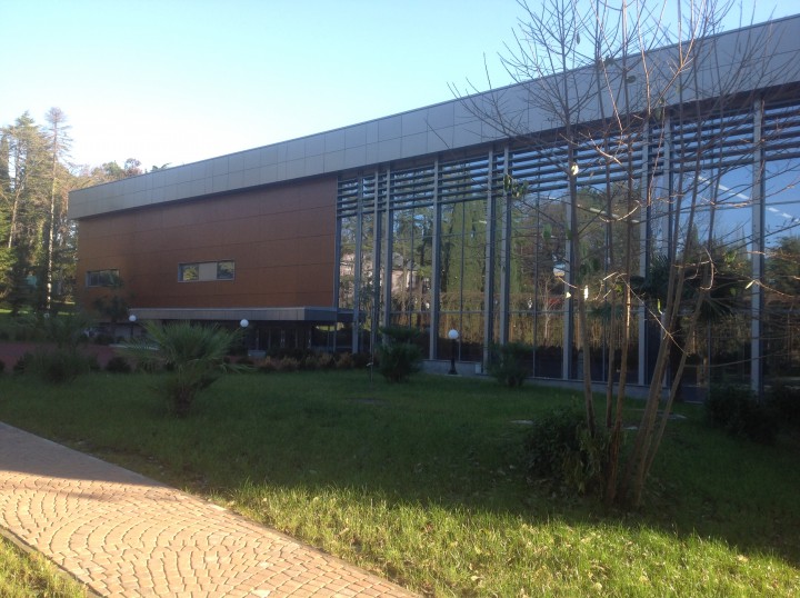 Научу играть в большой теннис