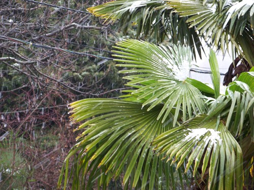 Срочно сдам длительно комнату!!!!10 мин до вокзала.