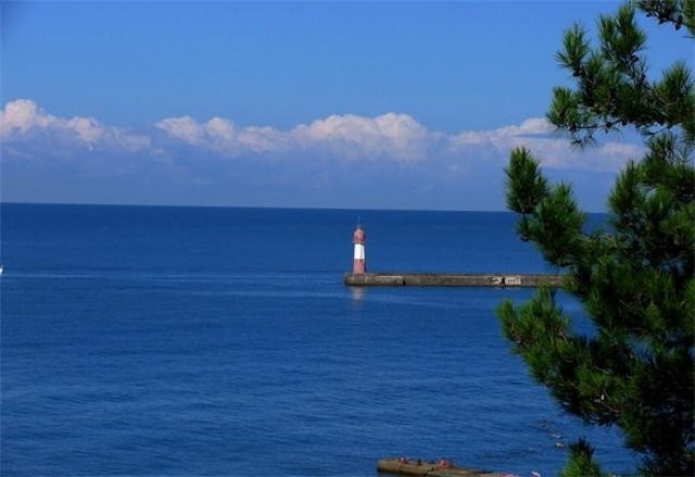 Приватизация, узаконивание самовольных перепланировок и др.