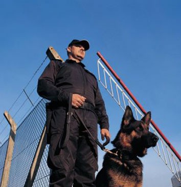 Охранные услуги, охрана, детектив, безопасность