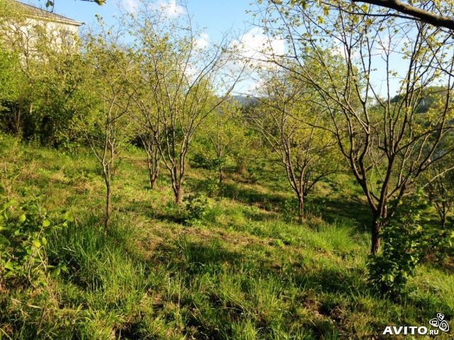 Участок 4.6 сот.  Мацеста Ручей де симона