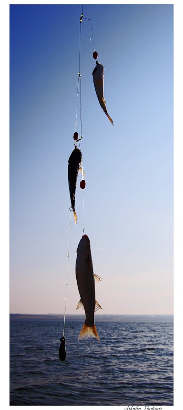 Морская рыбалка и прогулки - лучшее на Майские!